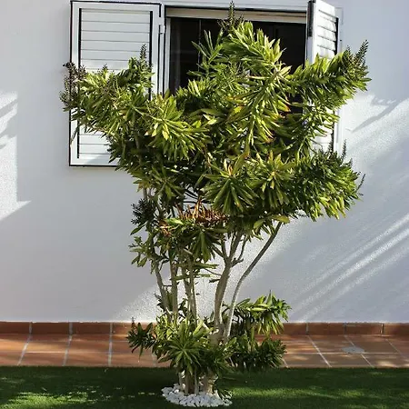 Taginaste Vila